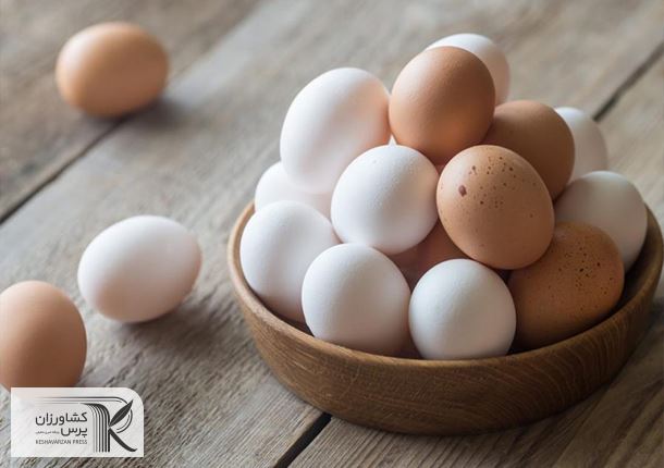 انگلیس به سهمیه‌بندی تخم‌مرغ رسید