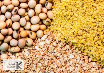 مطالبه مرغداران بابت ساماندهی وضعیت تأمین نهاده‌