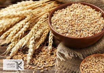 تداوم رشد قیمت کالاهای اساسی/ تب قیمت‌های جهانی کم می شود؟