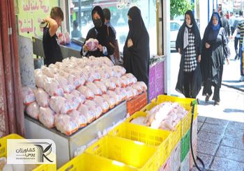 قیمت مرغ در بازار 11 هزار تومان زیر نرخ مصوب رسید