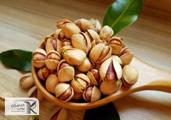 صادرات پسته ایران به اروپا ۹۵ میلیون یورو شد