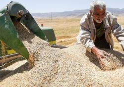 جزئیات سواپ محصولات کشاورزی ایران و قزاقستان