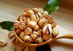 صادرات پسته ایران به اروپا ۹۵ میلیون یورو شد