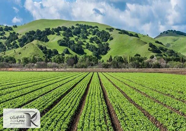 ضرورت تسریع در تشکیل شورای عالی خاک‌