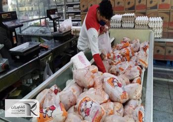 آخرین وضعیت بازار گوشت مرغ/ 3 اقدام دولت برای تعادل‌بخشی به بازار‌