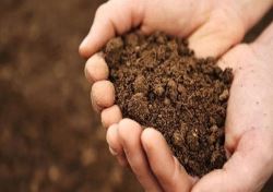 7 مشکل اساسی خاک‌ کشور/ تغییر کاربری اراضی کشاورزی‌ تهدید امنیت غذایی است
