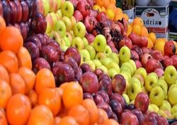 تنظیم بازار میوه شب عید به بخش خصوصی واگذار شد