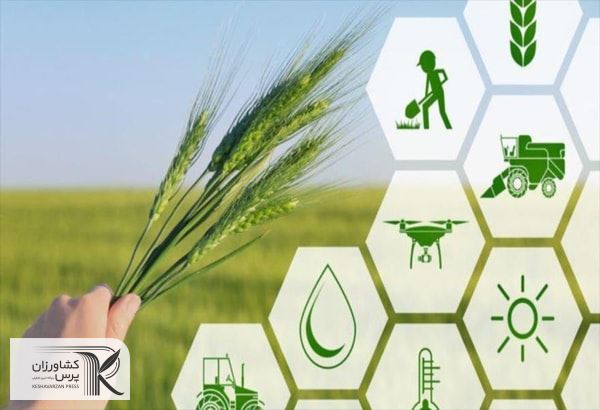 پرداخت ۲۳۰ میلیارد تومان تسهیلات به طرح های بخش کشاورزی