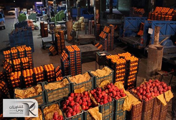 کیوی و سیب در انبارها در شرف پوسیدگی/  تحریم باعث لغو صادرات انار شد