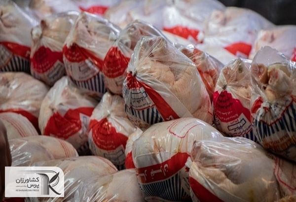 دولت باید توزیع مرغ منجمد را متوقف کند