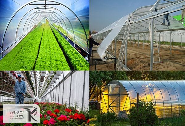  توسعه گلخانه‌ها در ازبکستان با حضور سرمایه‌گذاران ایرانی