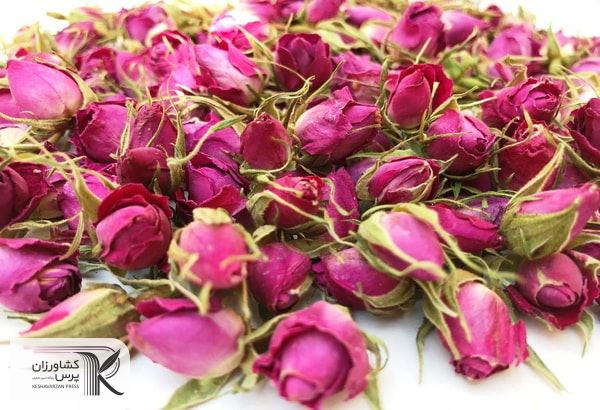 گردش دو هزار و ۲۰۰ میلیارد تومانیِ صنعت گل محمدی