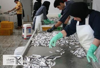 بازار پر رونق کیلکا در سواحل گیلان