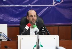 سیب زمینی ارزان می‌شود