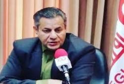 پشت پرده شایعه افزایش قیمت گوشت قرمز