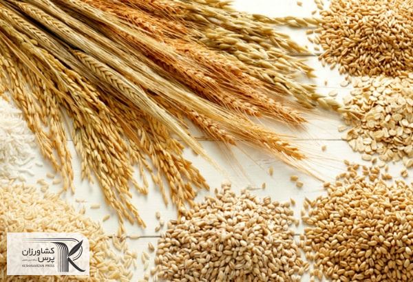 صادرات غلات اوکراین از طریق راه آهن