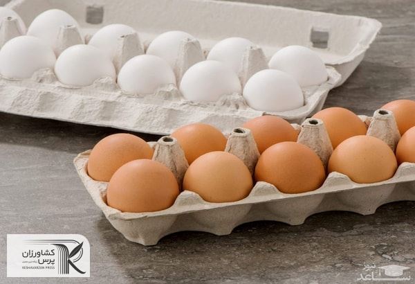 طرح مسئله حذف ارز ۴۲۰۰ تومانی باعث نوسانات قیمت تخم مرغ شد