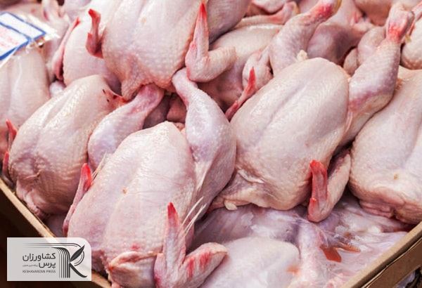 مصرف گوشت مرغ به دلیل گرانی گوشت قرمز و ماهی افزایش یافته