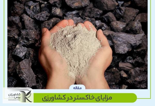 خاکستر آفت کشی ارگانیک و افزاینده توان جذب غذایی گیاه