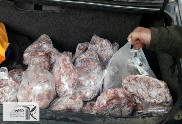 معدوم‌سازی 612 کیلوگرم گوشت و مرغ فاسد در شهرستان دماوند