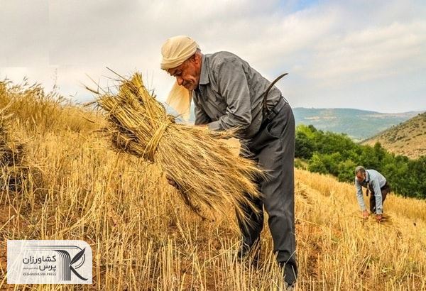 کاهش سود بانکی مهم ترین درخواست کشاورزان گلستانی از دولت