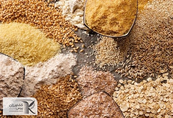 اوکراین صادرات غلات را ممنوع کرد