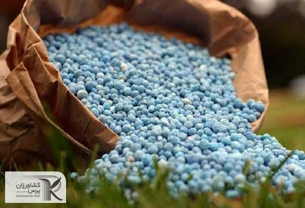 تصویب 100 درصدی کوهای یارانه‌ای 