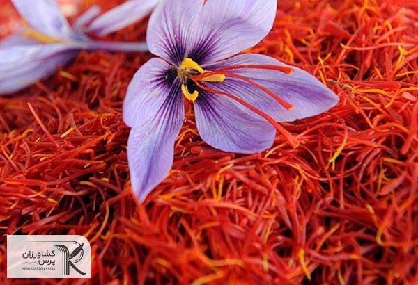 افزایش قیمت زعفران باعث کاهش تقاضا در رمضان خواهد شد