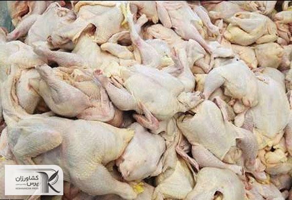 ضبط بیش از ۵ تن  گوشت مرغ فاسد در پایتخت