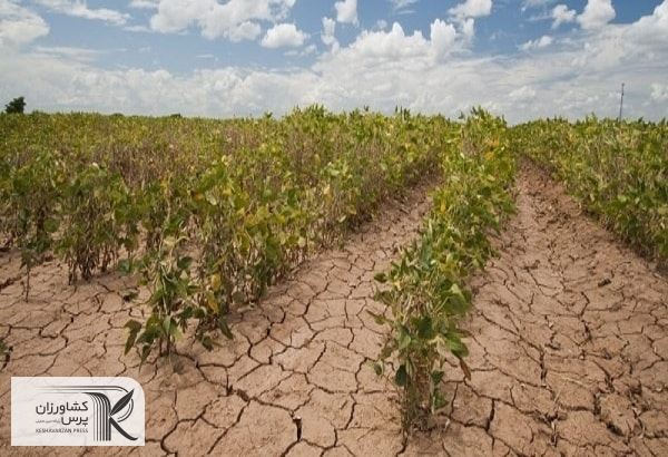 مسئولان باید برنامه دقیقی برای رفع کم آبی داشته باشند