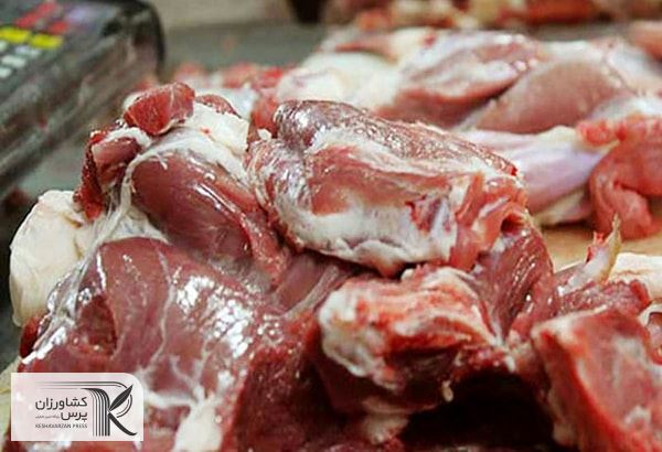 با مازاد و انباشتگی دام مواجه‌ایم/قیمت گوشت روند صعودی خود را حفظ کرده