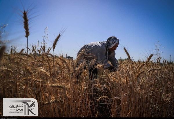 اعطای تسهیلات به بخش کشاورزی به منظور تحقق شعار سال