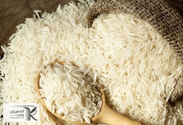 پافشاری بر مدیریت دستوری بازار باعث گرانی غیرمنطقی برنج در بازار شد