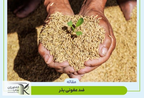 ضد عفونی بذر
