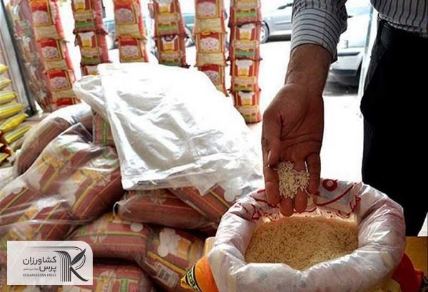 ریشه گرانی برنج از کجاست؟