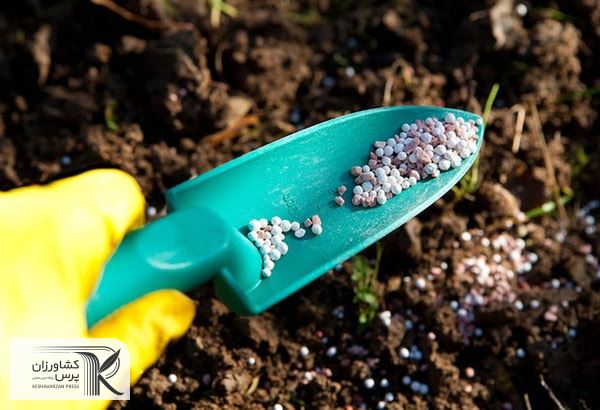قیمت کودهای شیمیایی فسفاته و پتاسه 48 درصد کاهش یافته