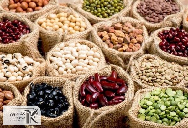 معافیت مالیاتی  تا کنون شامل حال حبوبات نشده است