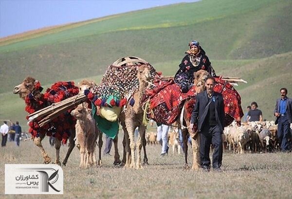 توزیع نهاده دامی در سال ۱۴۰۰ به بیش از ۷۲۰ هزار تن رسید