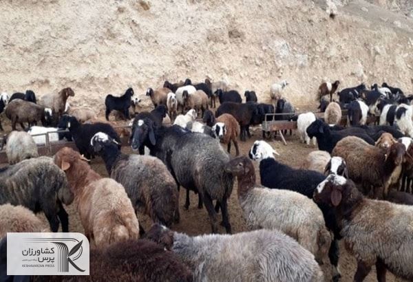منافع ملی کشور نباید فدای سودجویی افراد خاص شود