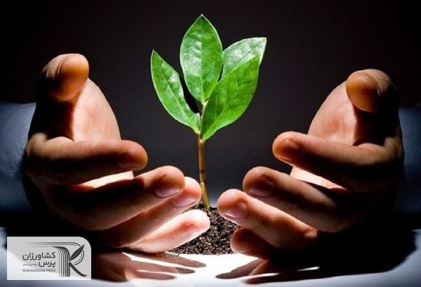 مشکلات کارآفرینی در بخش کشاورزی