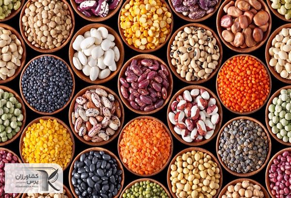 رشد نرخ جهانی دلیل افزایش قیمت حبوبات