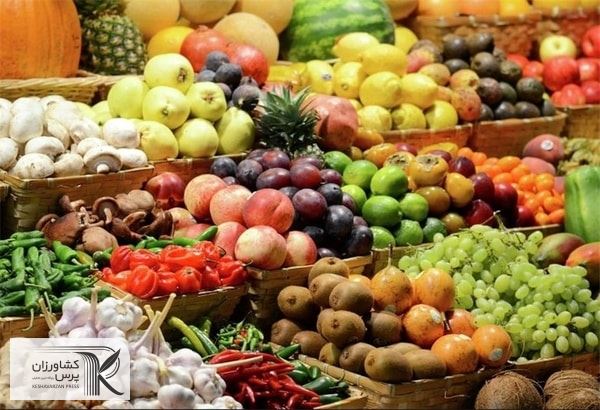تاجران ایرانی تمایلی برای صادرات با روسیه ندارند 