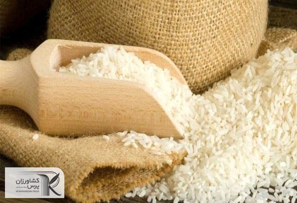 از افزایش قیمت برنج جلوگیری می‌کنیم
