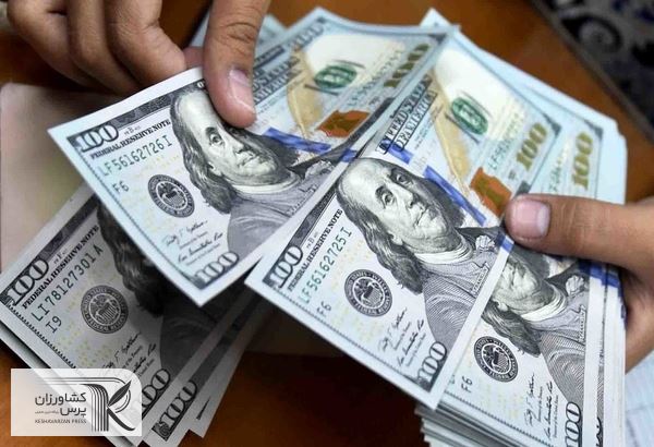 ارز ترجیحی فسادزا بود
