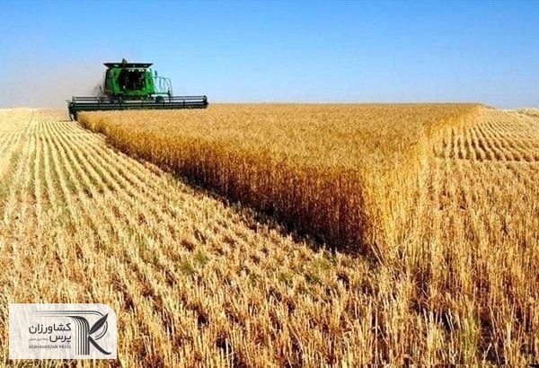 جابه‌جایی گندم و حمل از کشتی‌ها، ۵۹ درصد افزایش یافته است