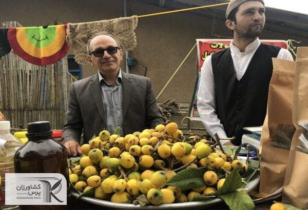 نخستین جشنواره ازگیل در رامسر برگزار شد