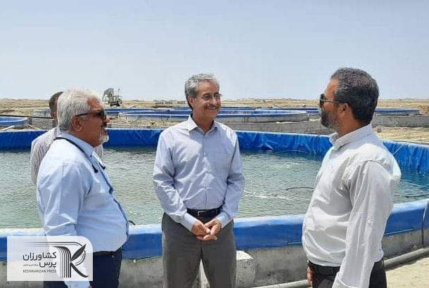 سازمان تات برای حضور و اعزام پژوهشگران ملی در حوزه آبزی پروری به هرمزگان آمادگی دارد