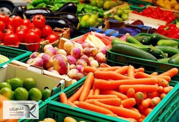 دلیل اصلی افزایش قیمت صیفی، صادرات بی برنامه این محصولات است