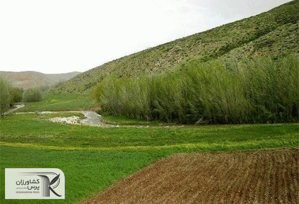 ۱۰۰ میلیون ریال کمک بلاعوض مالی در اختیار مجریان طرح تبدیل دیم زارها به باغ