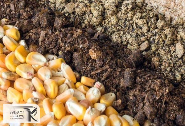 کمبود نهاده‌ها در ایران متاثر از جنگ روسیه و اوکراین است
